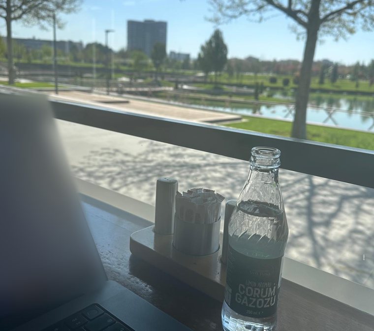 Remote work by the park